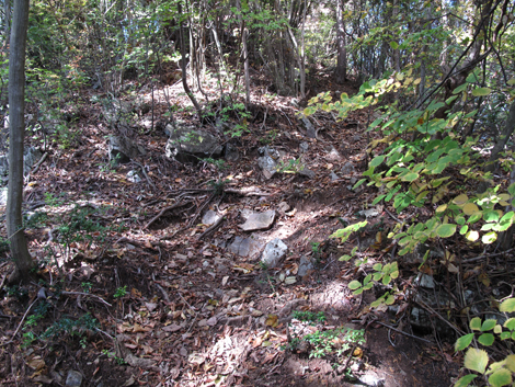 20171102hike (118)